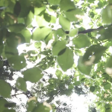 Ethical and sustainable